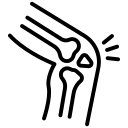 Illustration showing the knee joint